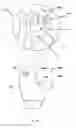 Fig. 30 - Body cleansing apparatus