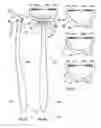 Fig. 02 - DENTAL INTERPROXIMAL CLEANING DEVICE