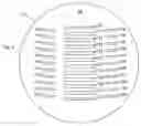Fig. 04 - MULTI-CHANNEL DE-APPLICATOR
