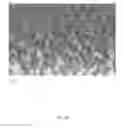 Fig. 05 - Three-dimensional conductive electrode for solar cell