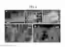 Fig. 07 - NANOSTRUCTURE AND MANUFACTURING METHOD THEREOF, AND SOLAR CELL INCLUDING THE SAME