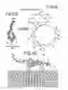 Fig. 23 - Multi-layer micro/nanofluid devices with bio-nanovalves