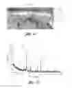 Fig. 02 - Salt bath ferritic nitrocarburizing of brake rotors