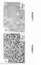 Fig. 06 - Method for the manufacture of alpha-beta Ti-Al-V-Mo-Fe alloy sheets