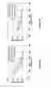 Fig. 08 - Method for the manufacture of alpha-beta Ti-Al-V-Mo-Fe alloy sheets