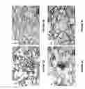 Fig. 10 - Method for the manufacture of alpha-beta Ti-Al-V-Mo-Fe alloy sheets