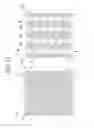 Fig. 12 - Pneumatic tire