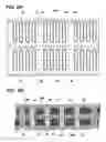 Fig. 08 - Capacitor to be incorporated in wiring substrate, method for manufacturing the capacitor, and wiring substrate