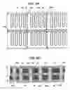 Fig. 09 - Capacitor to be incorporated in wiring substrate, method for manufacturing the capacitor, and wiring substrate