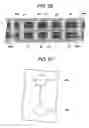 Fig. 25 - Capacitor to be incorporated in wiring substrate, method for manufacturing the capacitor, and wiring substrate