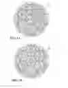 Fig. 06 - System and method for making structured magnetic material from insulated particles