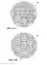 Fig. 11 - System and method for making structured magnetic material from insulated particles