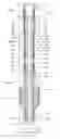 Fig. 01 - Downhole tool with pumpable section