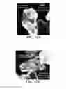 Fig. 13 - Altering the interface of hydrocarbon-coated surfaces