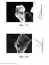 Fig. 18 - Altering the interface of hydrocarbon-coated surfaces