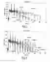 Fig. 05 - COMPOSITIONS AND PROCESSES FOR FRACTURING SUBTERRANEAN FORMATIONS
