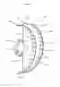 Fig. 37 - Shield assembly for a power tool