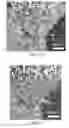 Fig. 09 - Crystallographically-oriented carbon nanotubes grown on few-layer graphene films