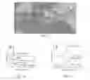 Fig. 10 - Crystallographically-oriented carbon nanotubes grown on few-layer graphene films
