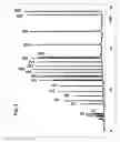Fig. 06 - Separation medium for capillary electrophoresis suppressing electroosmotic flow in bare capillaries and channels