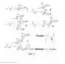 Fig. 02 - Amphiphiles for protein solubilization and stabilization