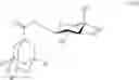 Fig. 28 - Amphiphiles for protein solubilization and stabilization