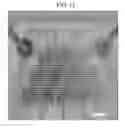 Fig. 15 - Method of manufacturing electric device, array of electric devices, and manufacturing method therefor