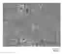 Fig. 01 - Electrically conductive paste, and electrically conducive connection member produced using the paste