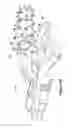 Fig. 11 - Mining and demolition tool