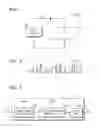 Fig. 02 - Illuminating apparatus and driving method thereof