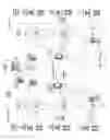 Fig. 02 - Method and apparatus for providing high security video session