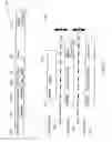Fig. 04 - SYNTONIZED COMMUNICATION SYSTEM
