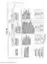 Fig. 77 - REPRODUCING DEVICE AND ASSOCIATED METHODOLOGY FOR PLAYING BACK STREAMS