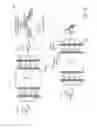 Fig. 08 - Optical transport network alarms