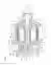 Fig. 06 - Positive-displacement rotary pump having a positive-displacement auxiliary pumping system