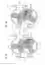 Fig. 08 - Positive-displacement rotary pump having a positive-displacement auxiliary pumping system