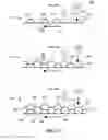 Fig. 12 - System and method for making a structured material