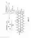 Fig. 18 - System and method for making a structured material