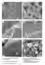 Fig. 01 - Catalytic COdesorption on the interface between NaHCO and multifunctional nanoporous TiO(OH)