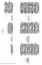 Fig. 02 - POLYELECTROLYTE MULTILAYER THIN FILM CATALYST AND METHOD FOR PRODUCING SAME