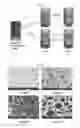 Fig. 06 - Poly(organophosphazene) composition for biomaterials