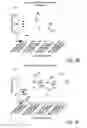 Fig. 08 - Gene therapy vectors for adrenoleukodystrophy and adrenomyeloneuropathy