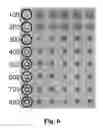 Fig. 05 - Method of manufacturing liquid flow guiding structures to porous substrates