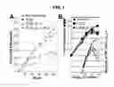 Fig. 02 - Methods for generating T lymphocytes from hematopoietic stem cells