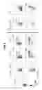 Fig. 09 - Methods for generating T lymphocytes from hematopoietic stem cells