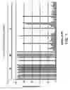 Fig. 02 - RNAi modulation of RSV and therapeutic uses thereof
