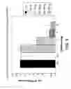 Fig. 06 - RNAi modulation of RSV and therapeutic uses thereof