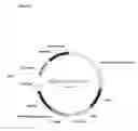 Fig. 02 - Use of Light Sensitive Genes