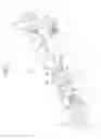 Fig. 04 - Endoscope propelling device