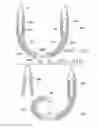 Fig. 26 - Apparatus and Methods for Anastomosis